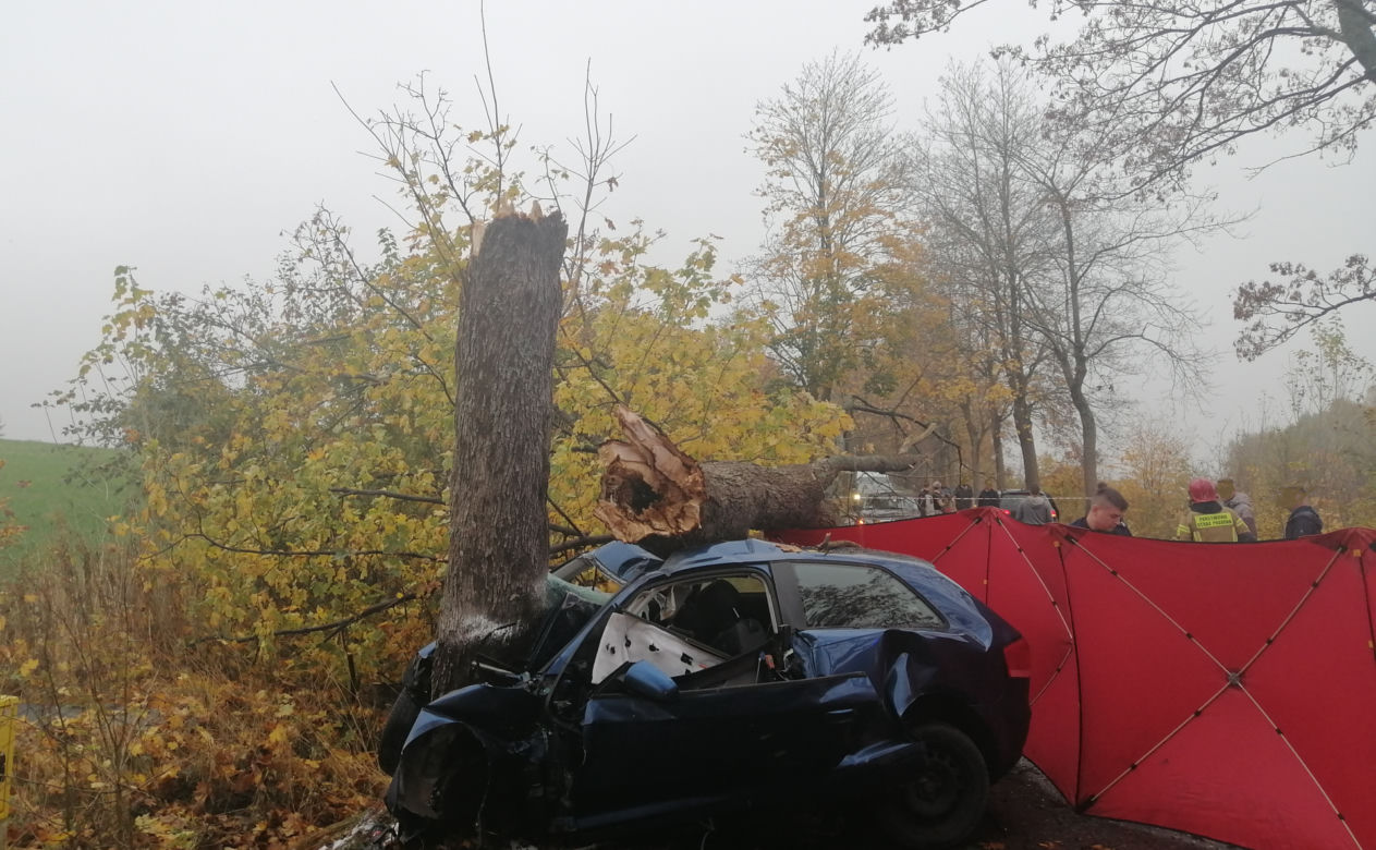 Tragiczny wypadek na drodze Mądrzechowo – Ząbinowice. 18-latka nie żyje [22.10.2022]