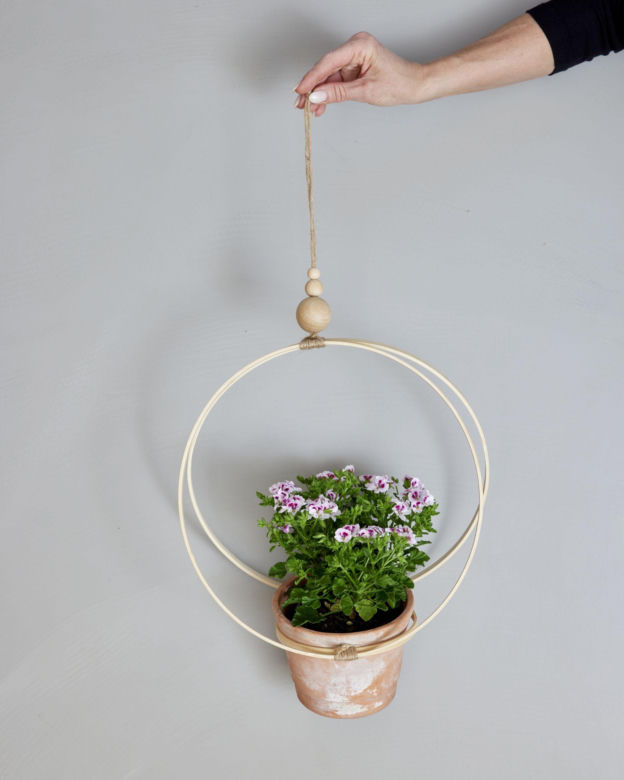 Wiszące pelargonie