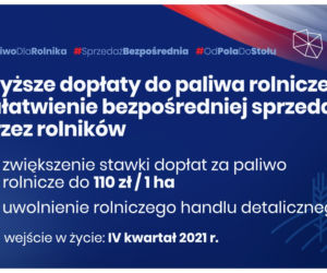 Polski Ład