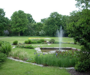 Ogród Botaniczny Poznań