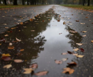 Weekend w Gdańsku z dwiema twarzami. Pogoda zmieni się po jednym, deszczowym dniu