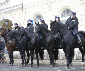 POLICJA KONNA