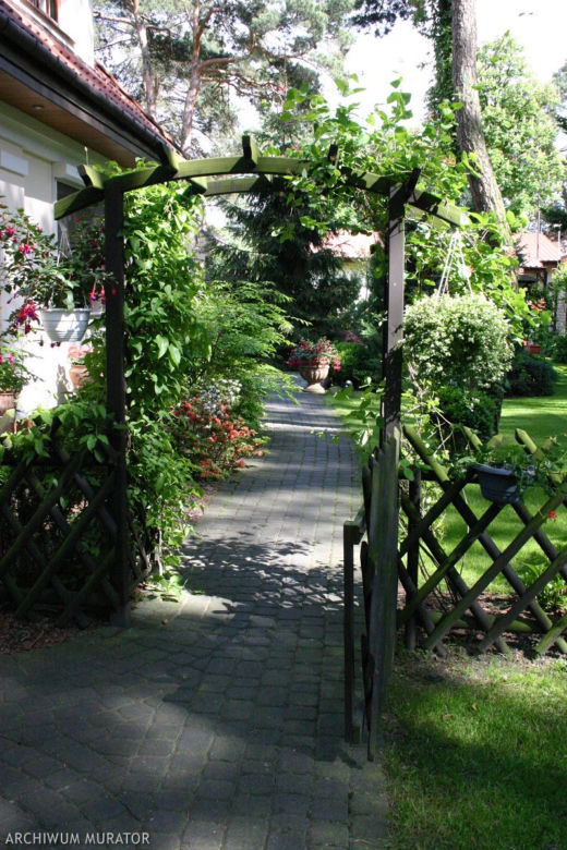 Pergola w ogrodzie