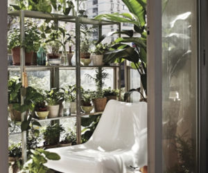 Mały balkon w bloku skąpany w zieleni