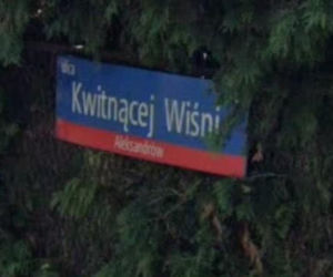 Oto najbardziej wiosenne ulice w stolicy! Tu wiosna trwa cały rok!