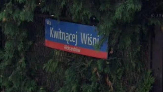 Oto najbardziej "wiosenne" ulice w stolicy! Tu wiosna trwa cały rok!