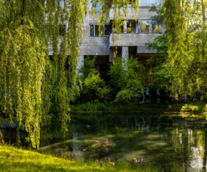 Szpiegowo w Warszawie