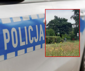 Trzy kobiety napastowane w Parku Reagana. Ofiar może być więcej! Pokrzywdzone opisują sprawcę 