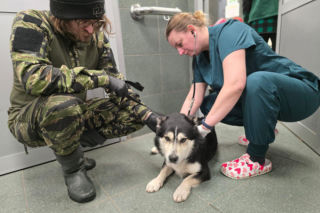 Wielka akcja w schronisku pod Radomiem. Zwierzęta pilnie szukają domów!