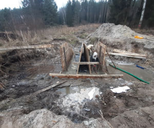 Na Warmii powstaje ptasie El Dorado. Sztuczne wyspy przyciągną rybitwy [ZDJĘCIA]