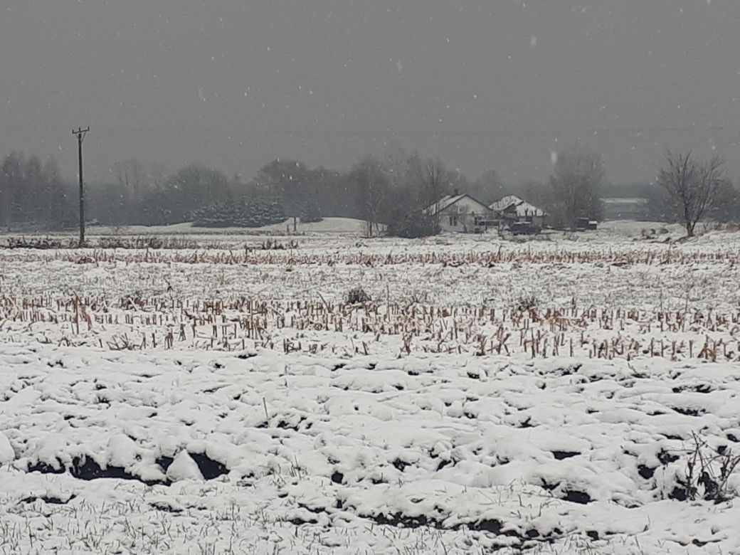 Piękna zima na Podkarpaciu. Sypnęło śniegiem [ZDJĘCIA]