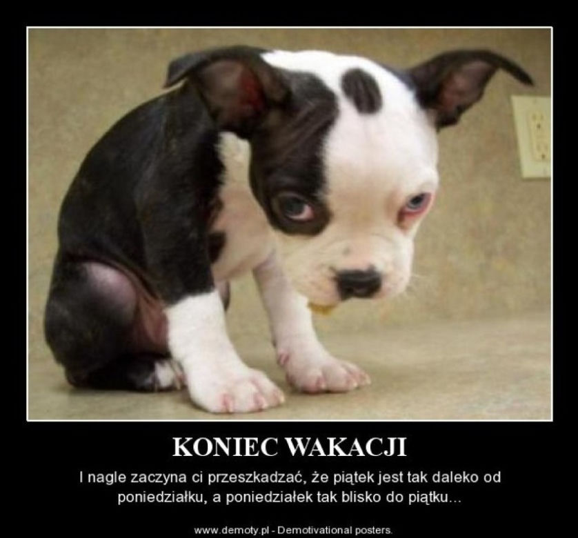 Najlepszy z okazji zakończenia wakacji i początku roku szkolnego!