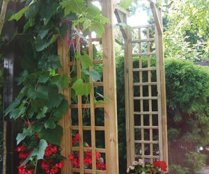 Pergola - podpora dla roslin, ochrona przed sloncem
