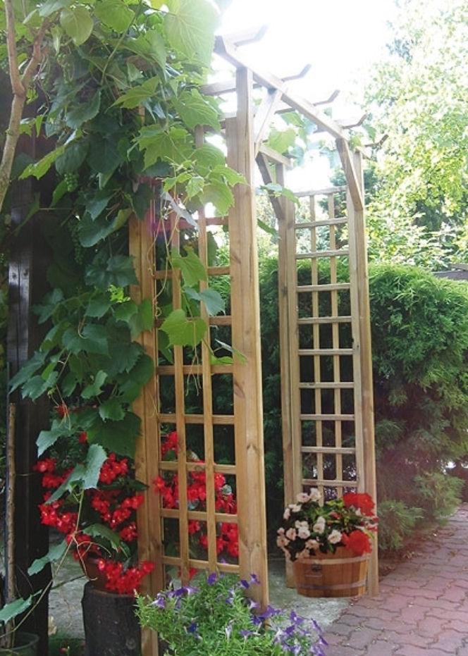 Pergola - podpora dla roslin, ochrona przed sloncem