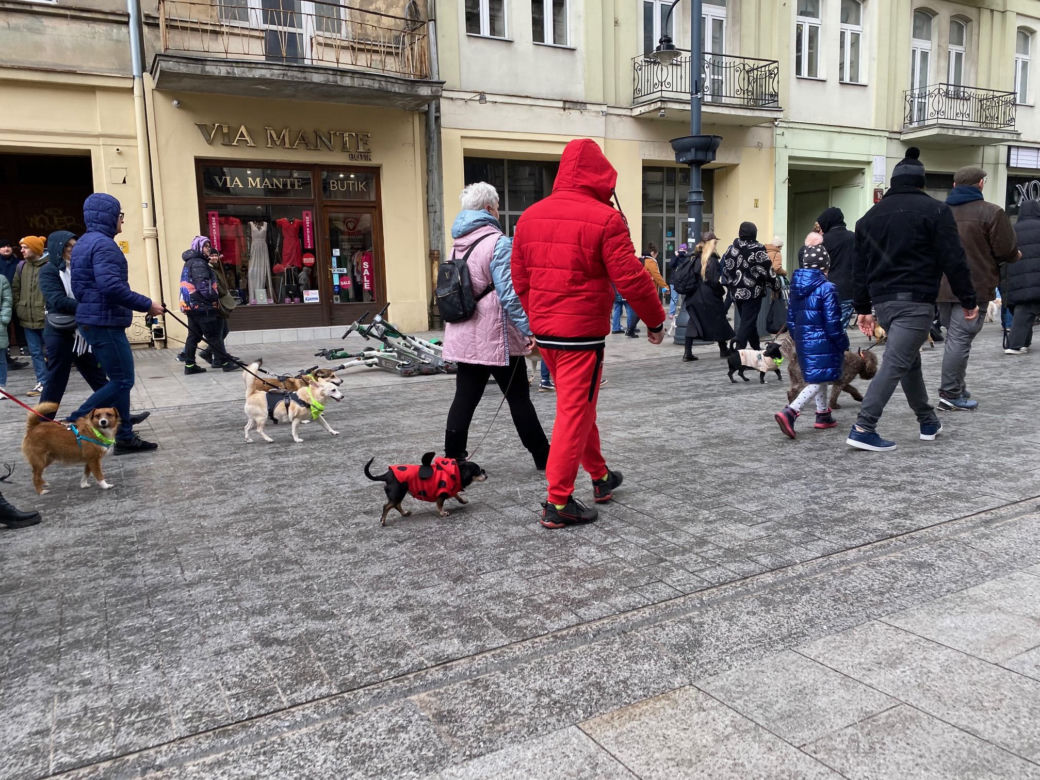 Parada Kundelków