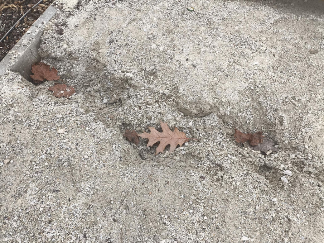 Nowy park w Warszawie już zniszczony. "Przykro się na to patrzy"