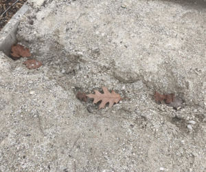 Nowy park w Warszawie już zniszczony. Przykro się na to patrzy