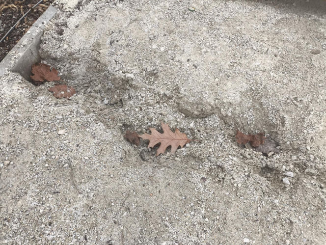 Nowy park w Warszawie już zniszczony. "Przykro się na to patrzy"