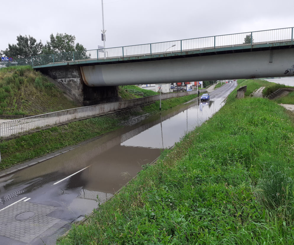 wybrzeże Wilsona, nie ma przejazdu