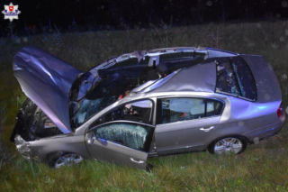 Najpierw volkswagen, później ciężarówka. Dwa pojazdy uderzyły w łosia