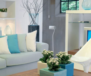 Kalanchoe we wnętrzu nowoczesnym