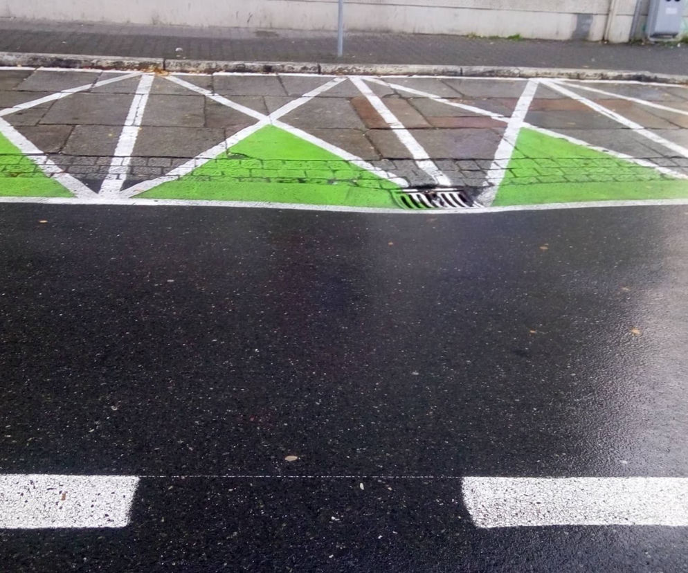 Zdaniem wojewody koperty nie mogą być zielone