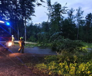 Front burzowy przeszedł przez Warmię i Mazury. Powalone drzewa, dużo strat materialnych [ZDJĘCIA]