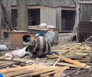 Atak na schronisko dla zwierząt Zaporoże