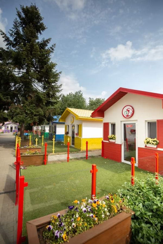 Przemyśl. U nich psy nie czekają na adopcję w klatkach [GALERIA]	