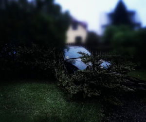 Kierowca bmw z Hajnówki wsiadł za kółko i wjechał w płot [ZDJĘCIA]