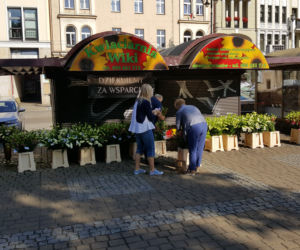 Kwiaciarki wdzięczne za poparcie. Z radości rozdały bydgoszczanom kwiaty!