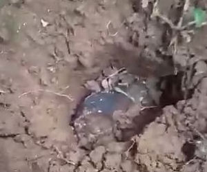 Został milionerem w sekundę! TO wpadło mu do domu przez dach