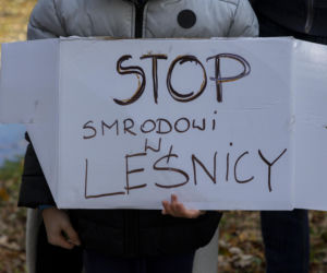 W Leśnicy grasuje szamboszajka