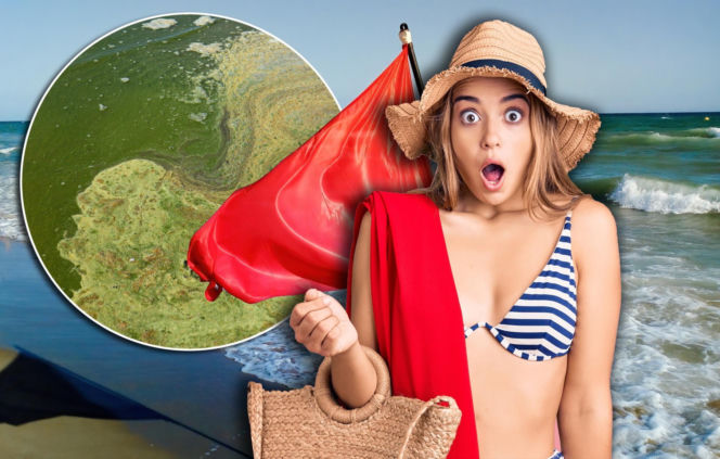 Zakaz kąpieli na popularnych plażach! Kontakt z wodą może skończyć się problemami zdrowotnymi 