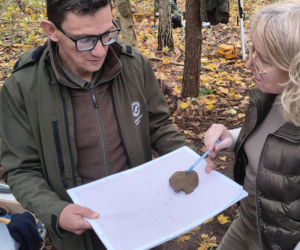 Niezwykłe znaleziska w lesie na Podlasiu