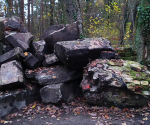 Teren wokół Wieży Quistorpa został uporządkowany