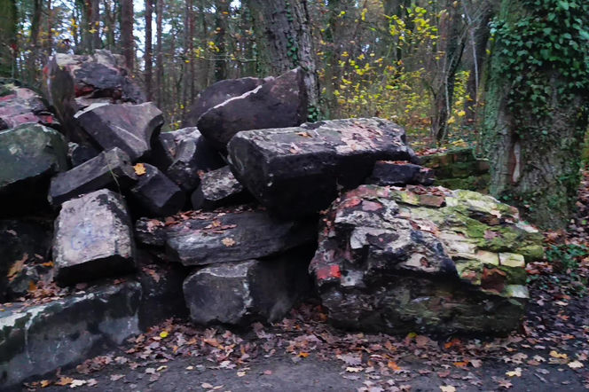Teren wokół Wieży Quistorpa został uporządkowany