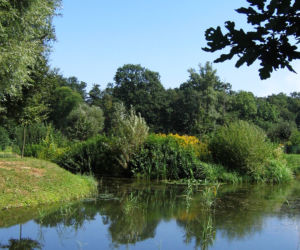 Las Sołtysowicki