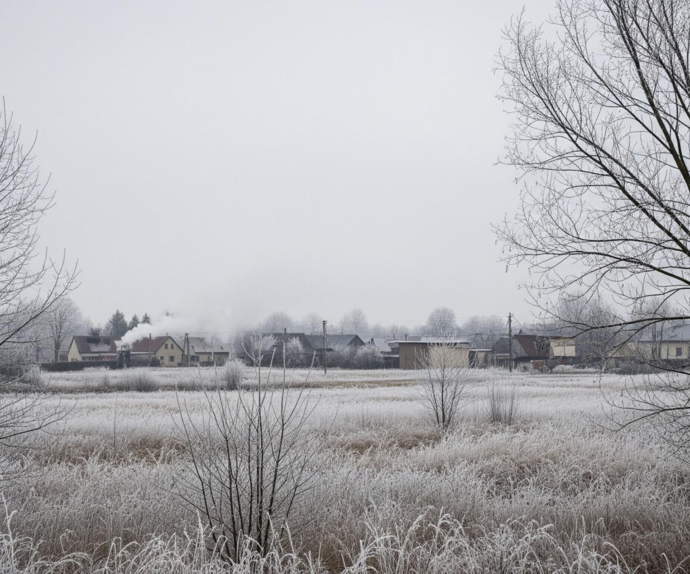 Zimowy krajobraz ukazuje szerokie pole pokryte szronem, z dominującymi, ciemnymi, bezlistnymi drzewami po obu stronach kadru. Na horyzoncie widoczne są domy, z których niektóre mają dachy pokryte śniegiem, a z jednego komina unosi się biały dym, który rozmywa się na tle szarego, zachmurzonego nieba. Pomiędzy domami a polem rozciąga się pas krzewów i mniejszych drzew, również pokrytych szronem.