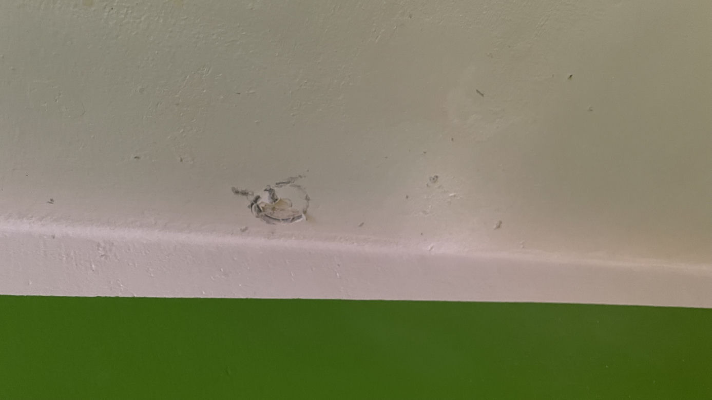 Wybuch w Kołobrzegu. Eksplodował pojemnik z szamponem