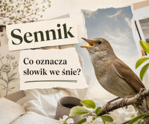 Słowik w senniku: znaczenie snu. Śpiew, cisza, klatka i uczucia