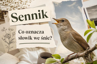 Słowik w senniku: znaczenie snu. Śpiew, cisza, klatka i uczucia