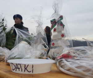 Zdrowo aktywnie charytatywnie - czyli morsy w akcji