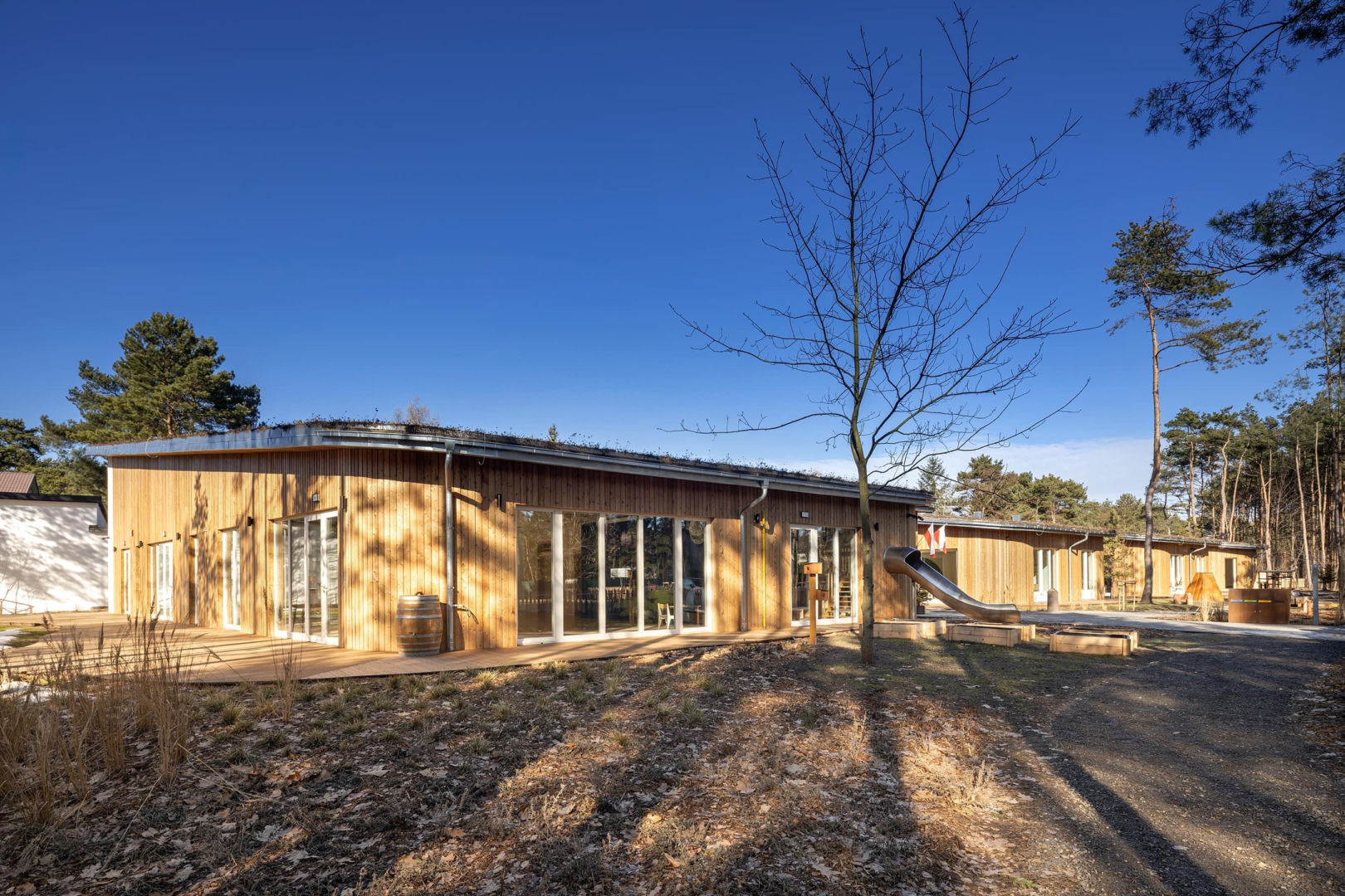 Leśne przedszkole w w Józefowie