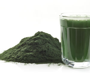 Chlorella