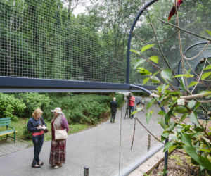 Papugi z łódzkiego zoo mają nową, przestronną i oszkloną wolierę
