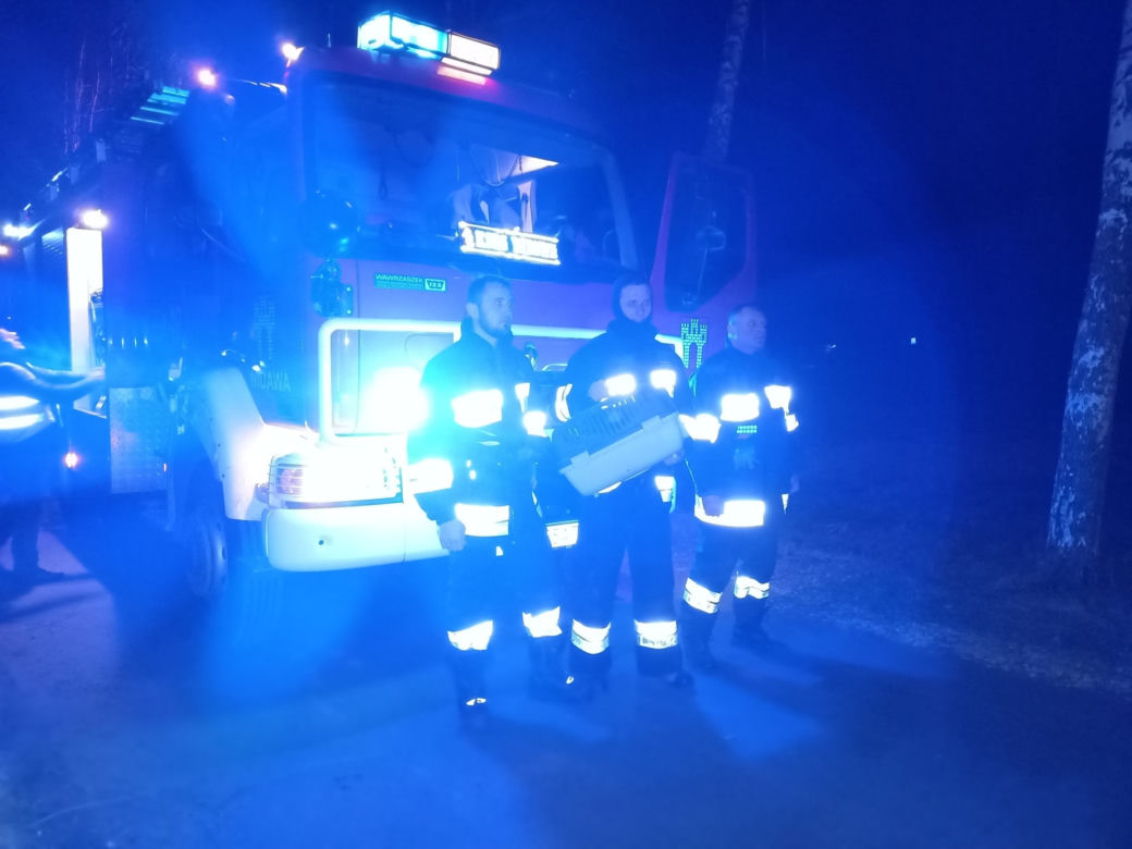 Szczeniak uwięziony w rurze kanalizacyjnej! Fuksa uratowali strażacy i wolontariusze