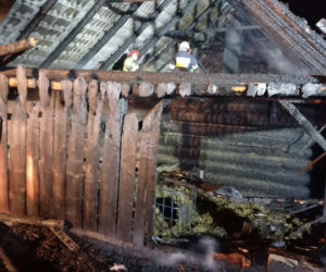 Trześniów. Potworne zabójstwo staruszki. [GALERIA]