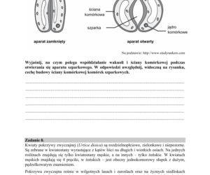 Matura 2020 ARKUSZE CKE z biologii POZIOM ROZSZERZONY 
