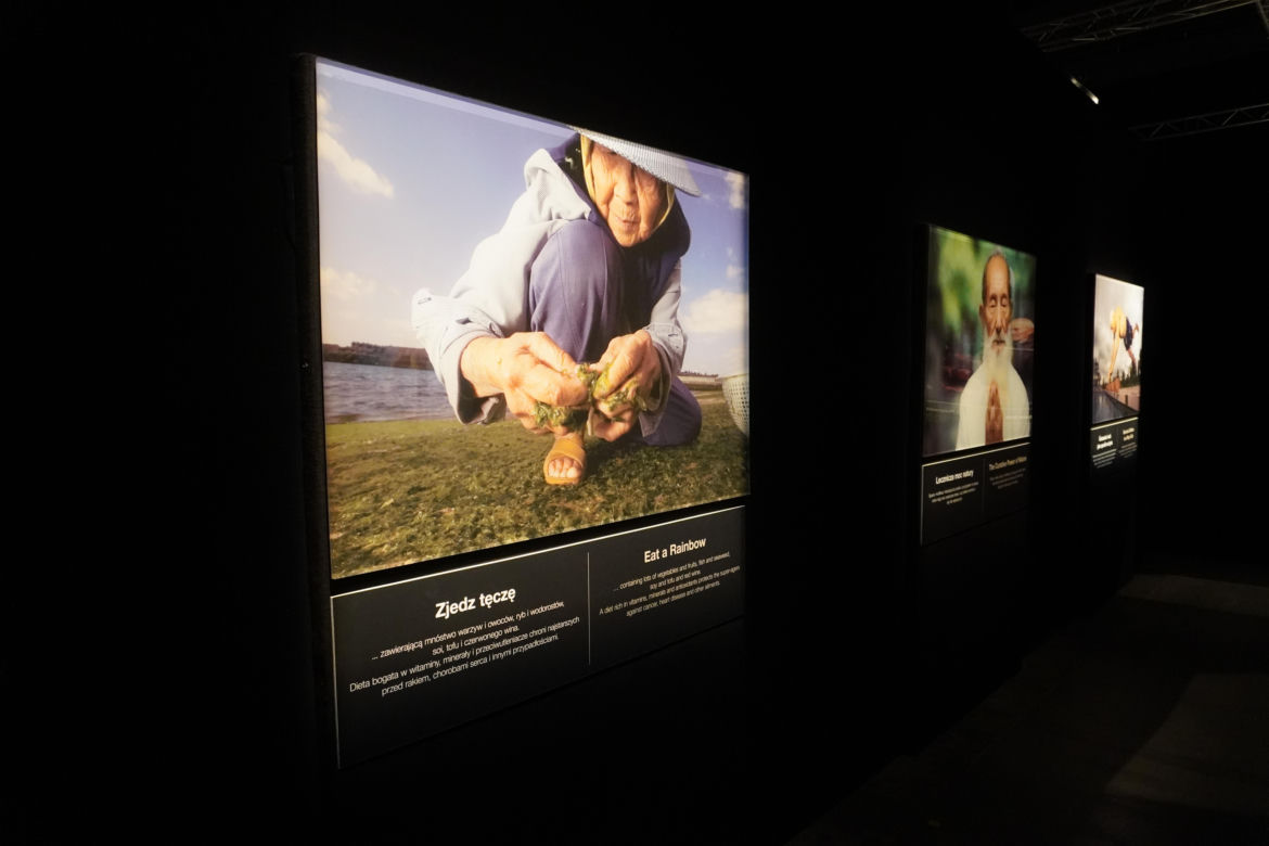Wystawa z ludzkiego ciała. Body Worlds powróciła do Gdańska po 5 latach 